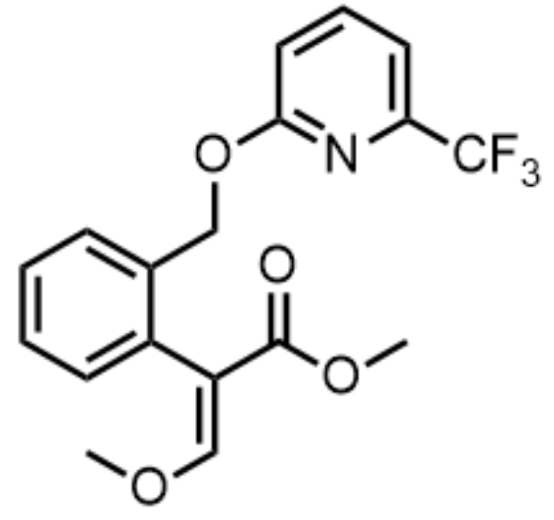 啶氧菌酯